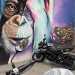 Art murals in Comuna 13