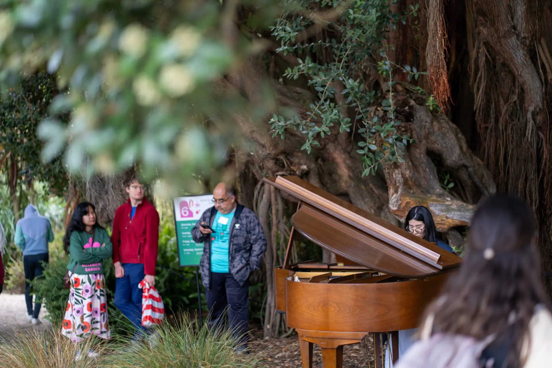 Crowd gathered around a piano nestled beneath tall trees