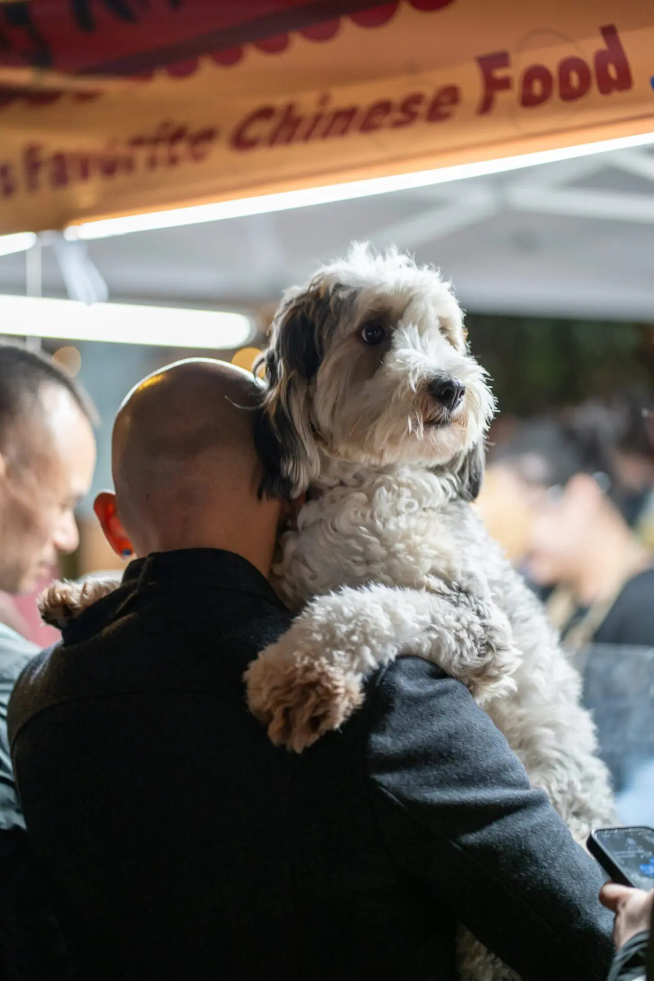 Dog being held over someone’s shoulder at an outdoor Castro event