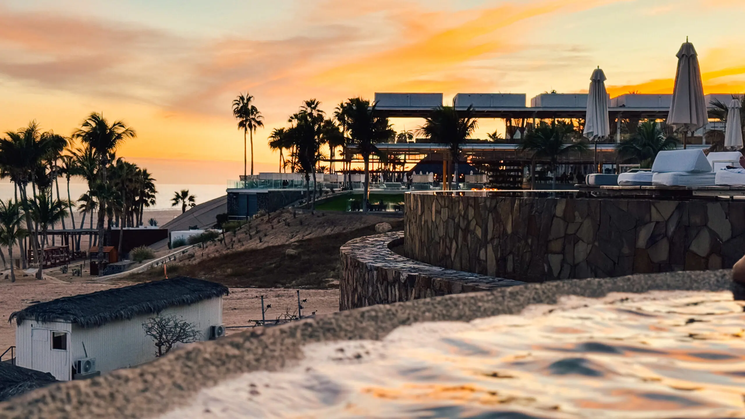 Sunset view of a modern building with palm trees by the water.