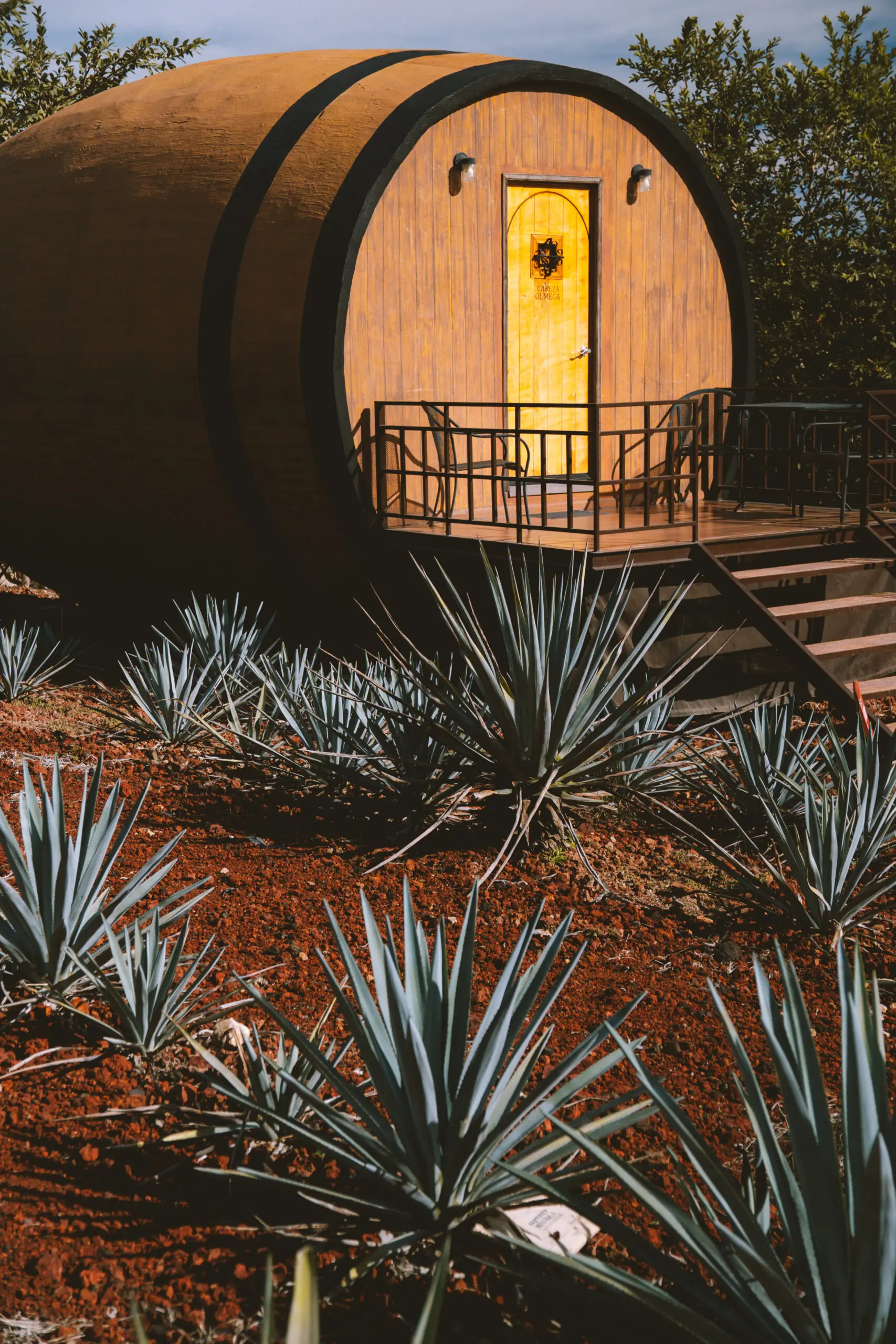 Wooden barrel-shaped cabin nestled among agave plants in a natural setting.