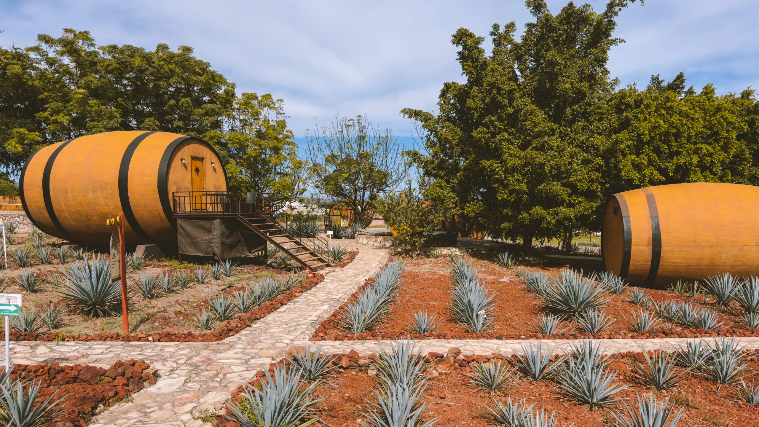 A serene garden with agave plants and a wooden barrel-shaped cabin in the background.