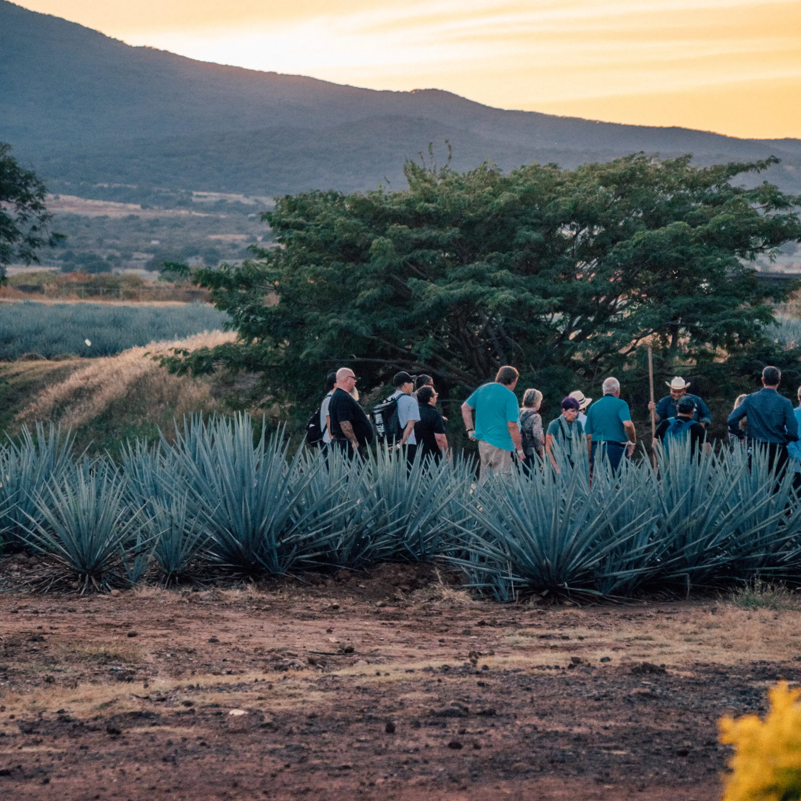 A group hiking near a lake at sunset with mountains in the background.