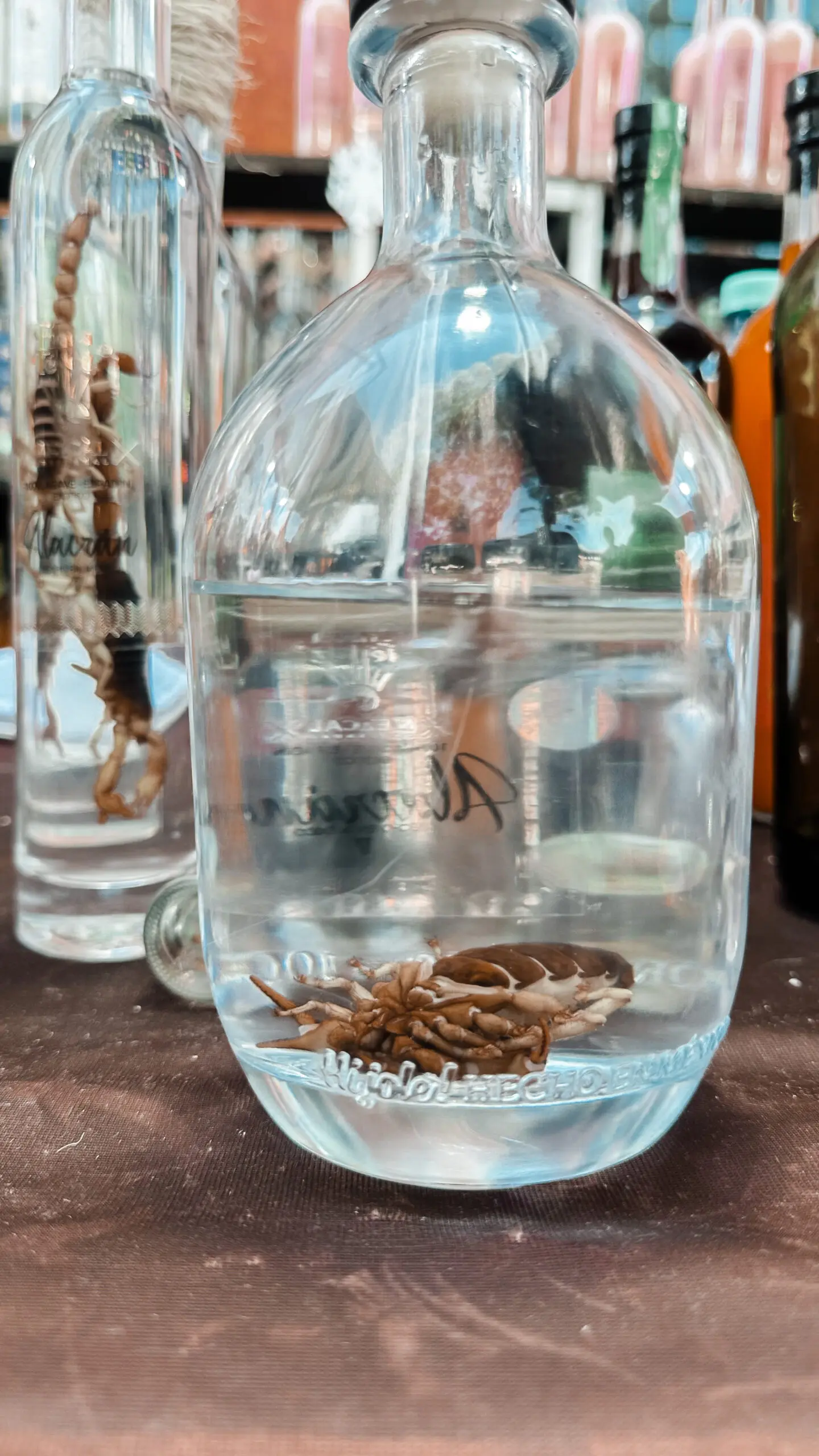 A clear jar filled with water and several small worms at the bottom.