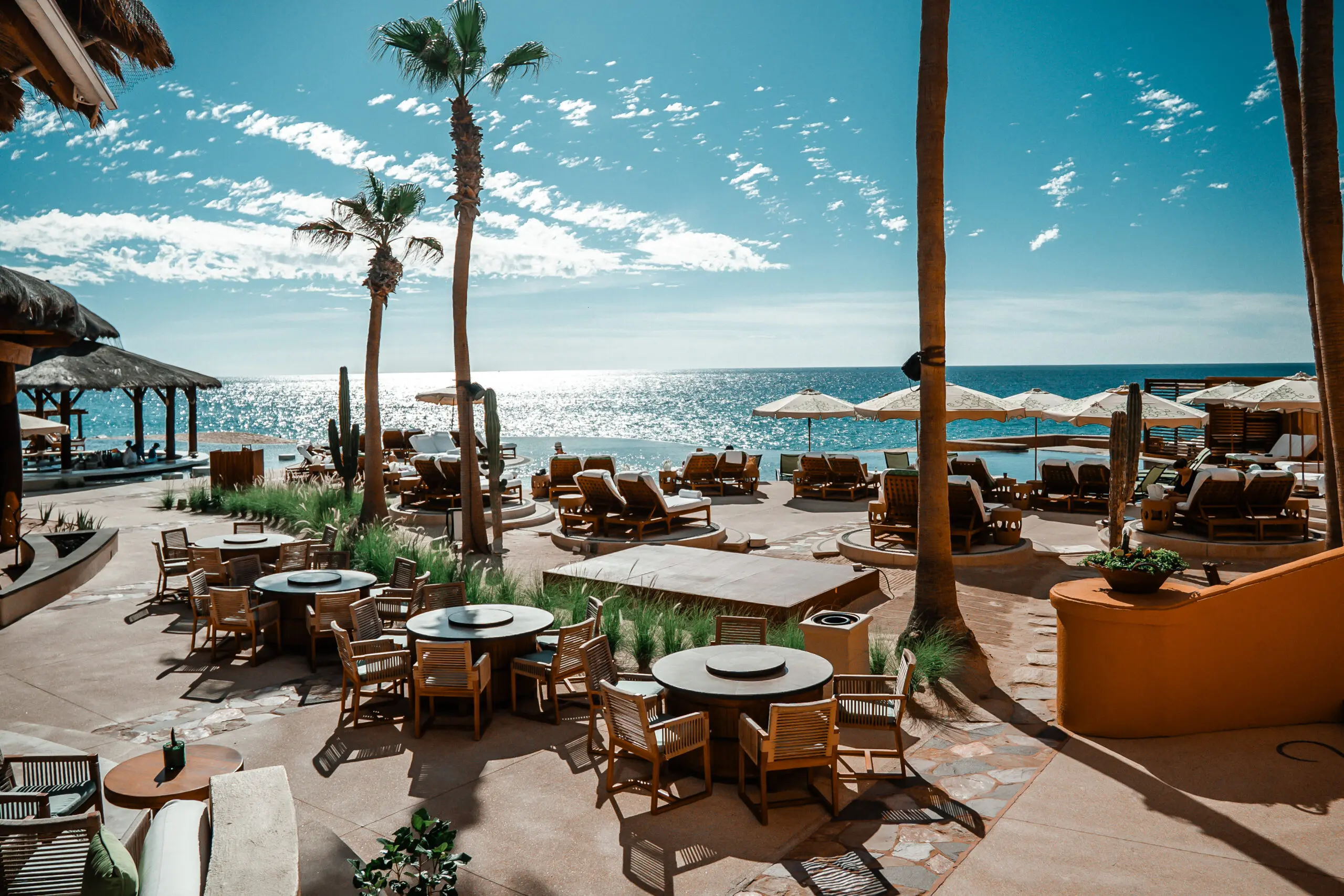 Outdoor beachside dining with palm trees and umbrellas under a blue sky.