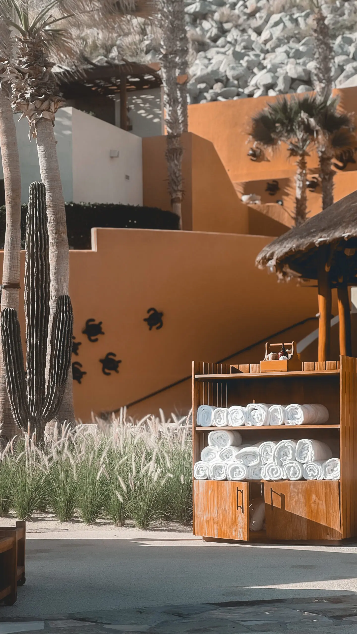 Decorative cactus planters on a warm-toned wall with a tiki hut bar in the foreground.