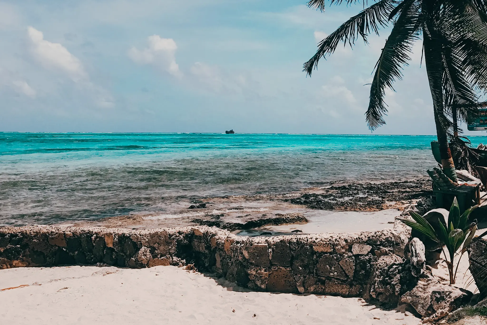 woman with a bob haircut holding a camera up to her face with a light in the background
