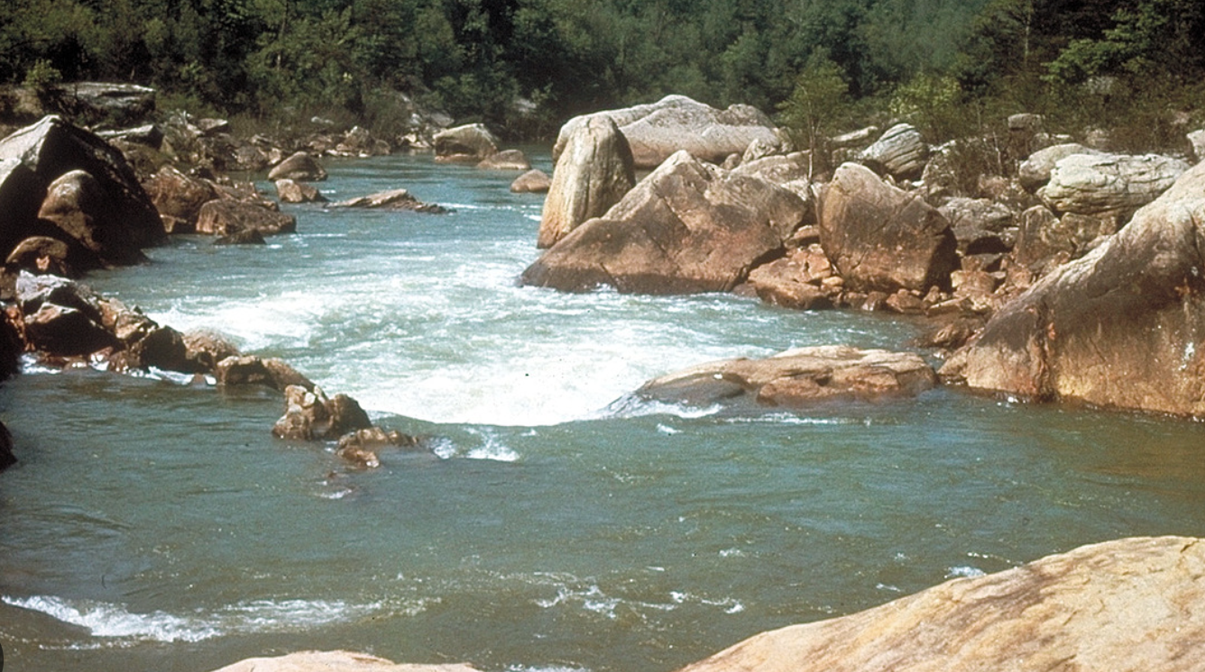 woman with a bob haircut holding a camera up to her face with a light in the background