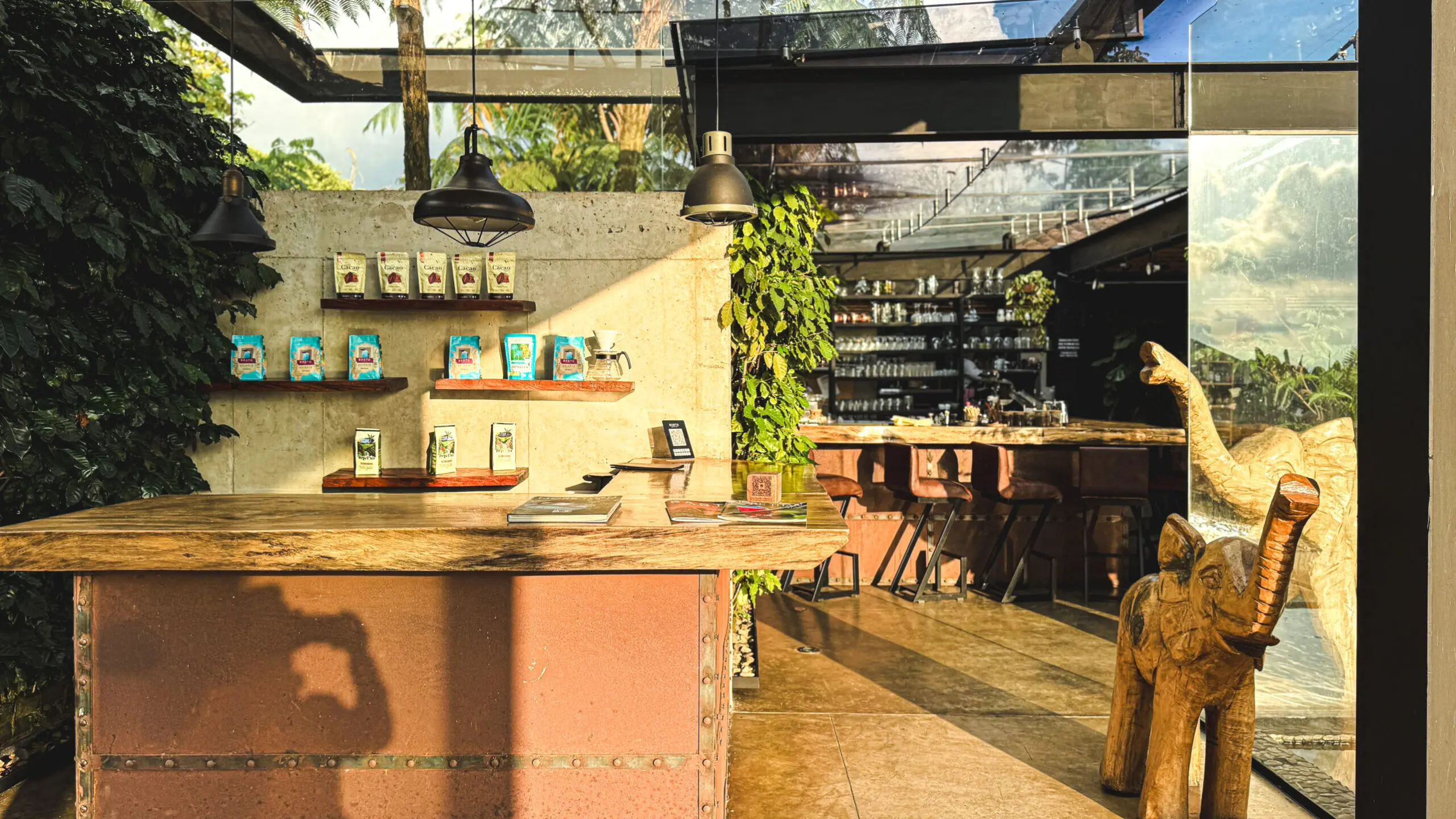 Sunlit outdoor café with wooden tables and green plants.