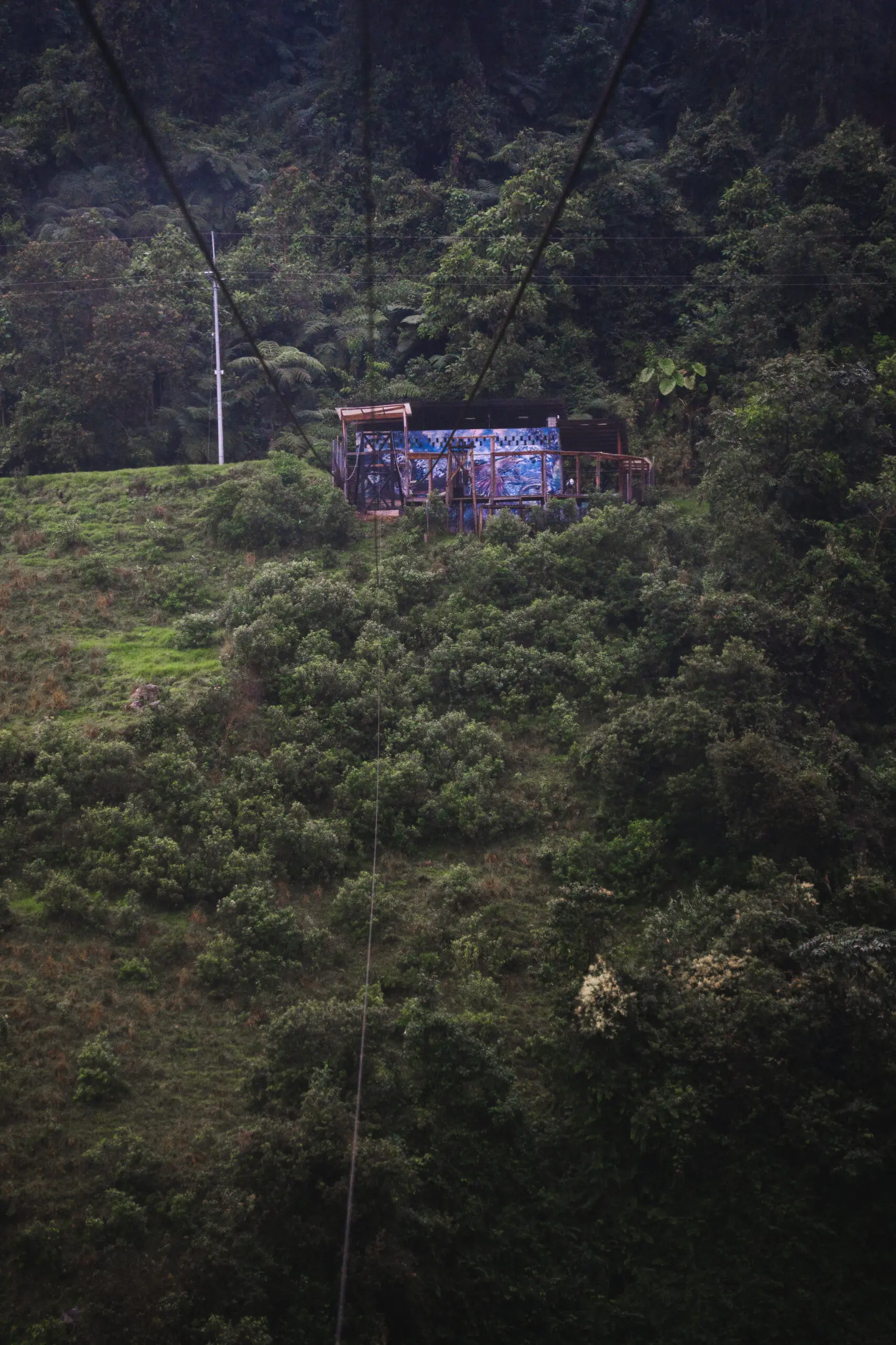 Small, weathered shack on a lush, green hillside surrounded by trees.