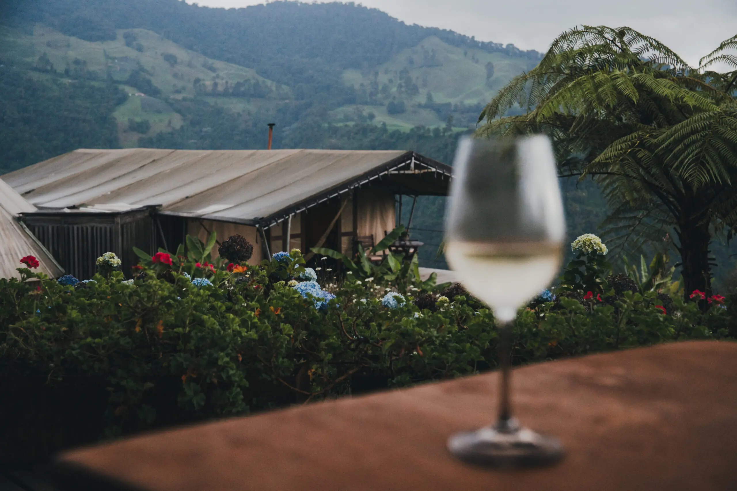 A glass of white wine with a scenic mountain view in the background.