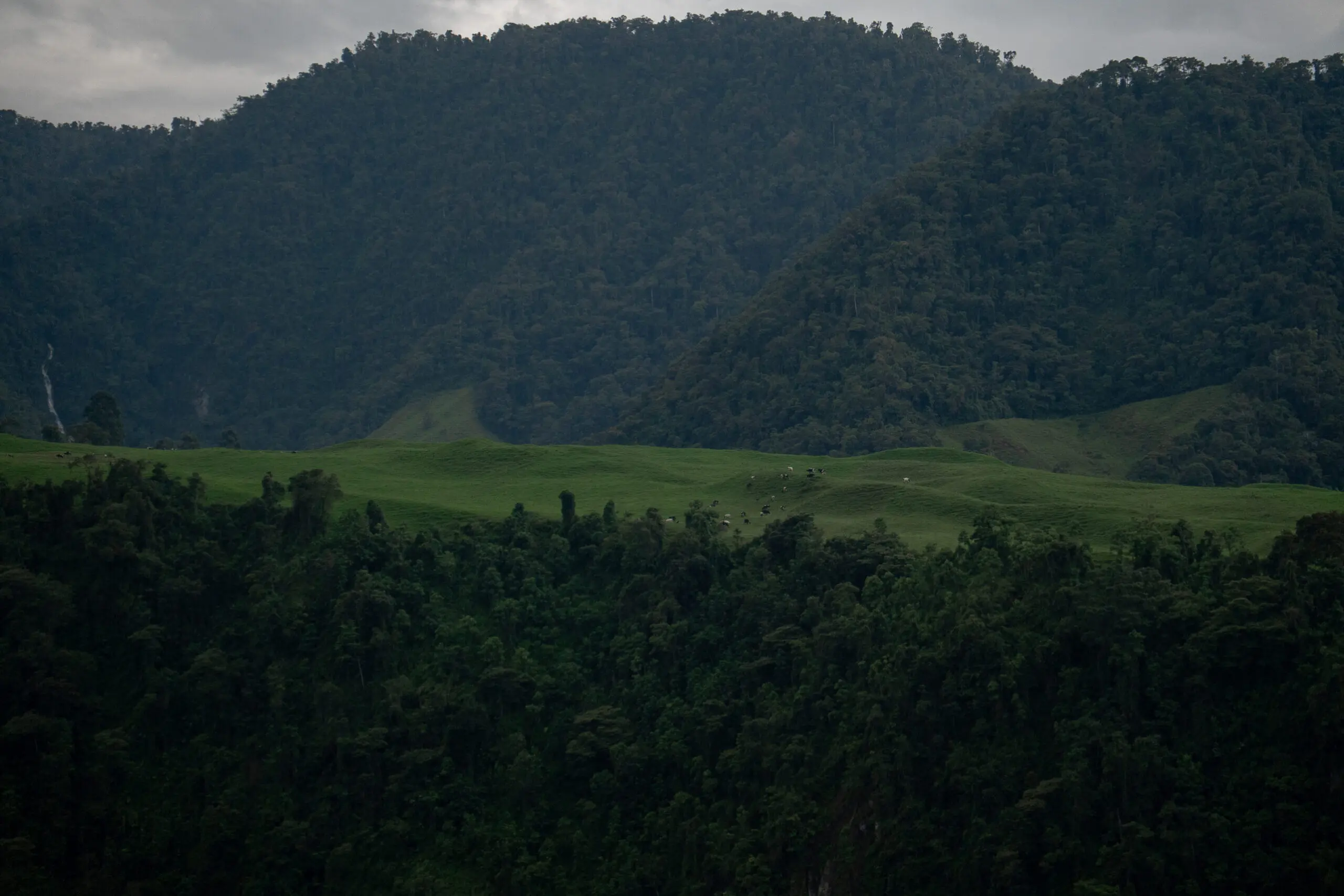 Lush green hills under a cloudy sky at dusk.