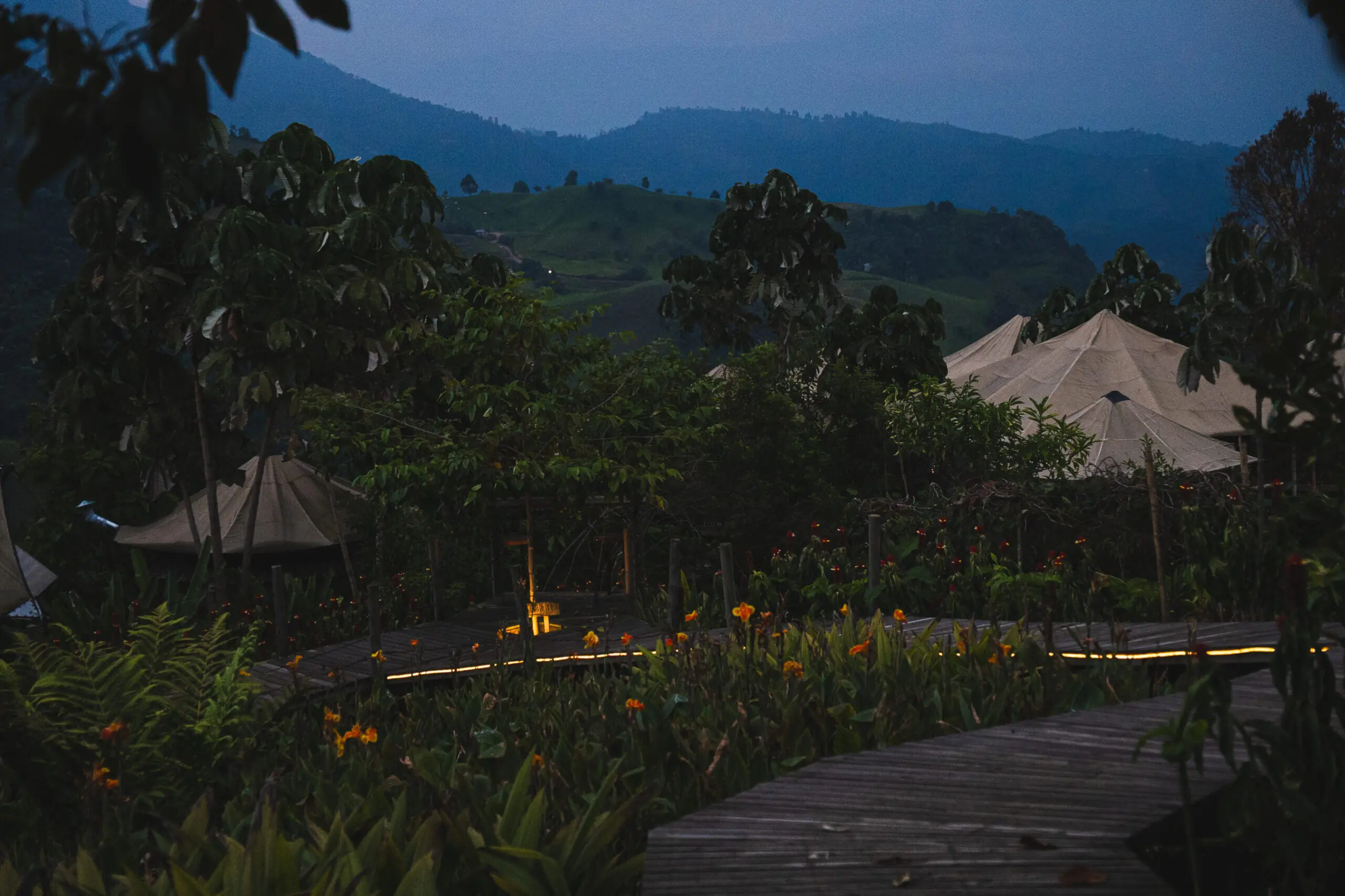 Pathway leading through a garden with distant mountains under a dusky sky.