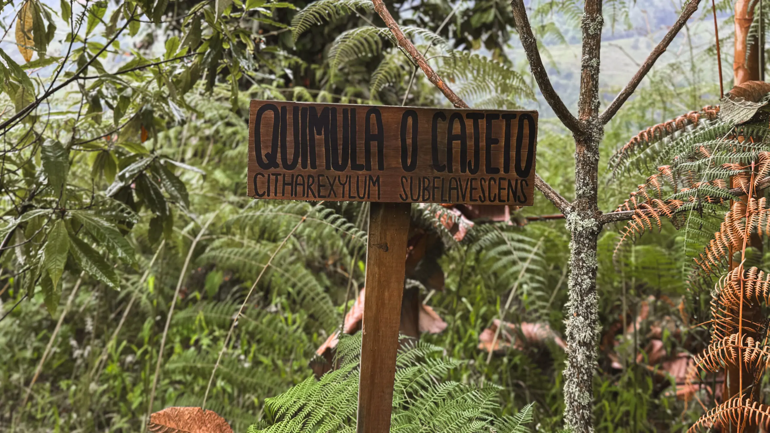 Wooden sign reading 'Quintal do Cajeto' in a lush green garden.