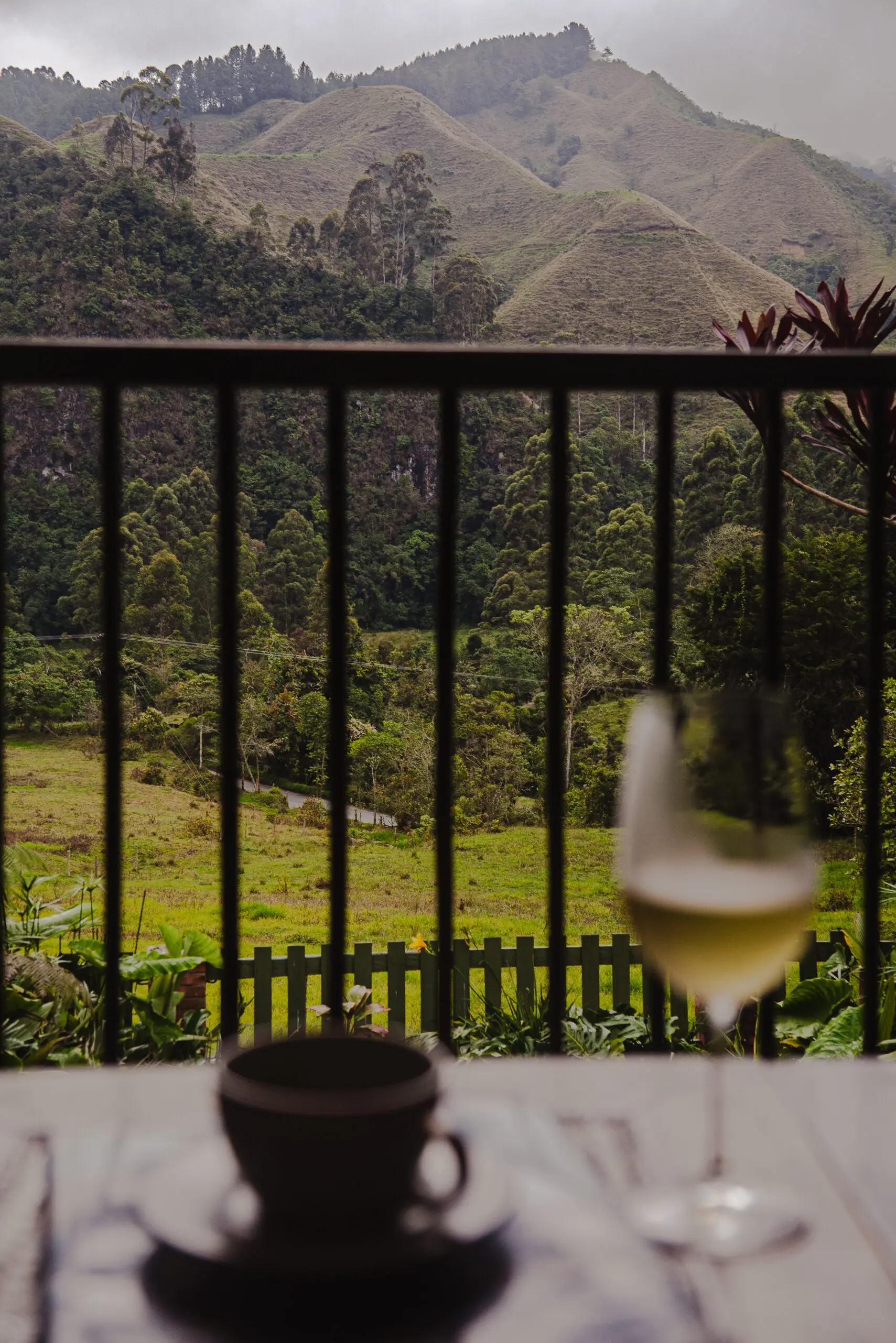 Wine glass and cup on a balcony overlooking a green landscape.