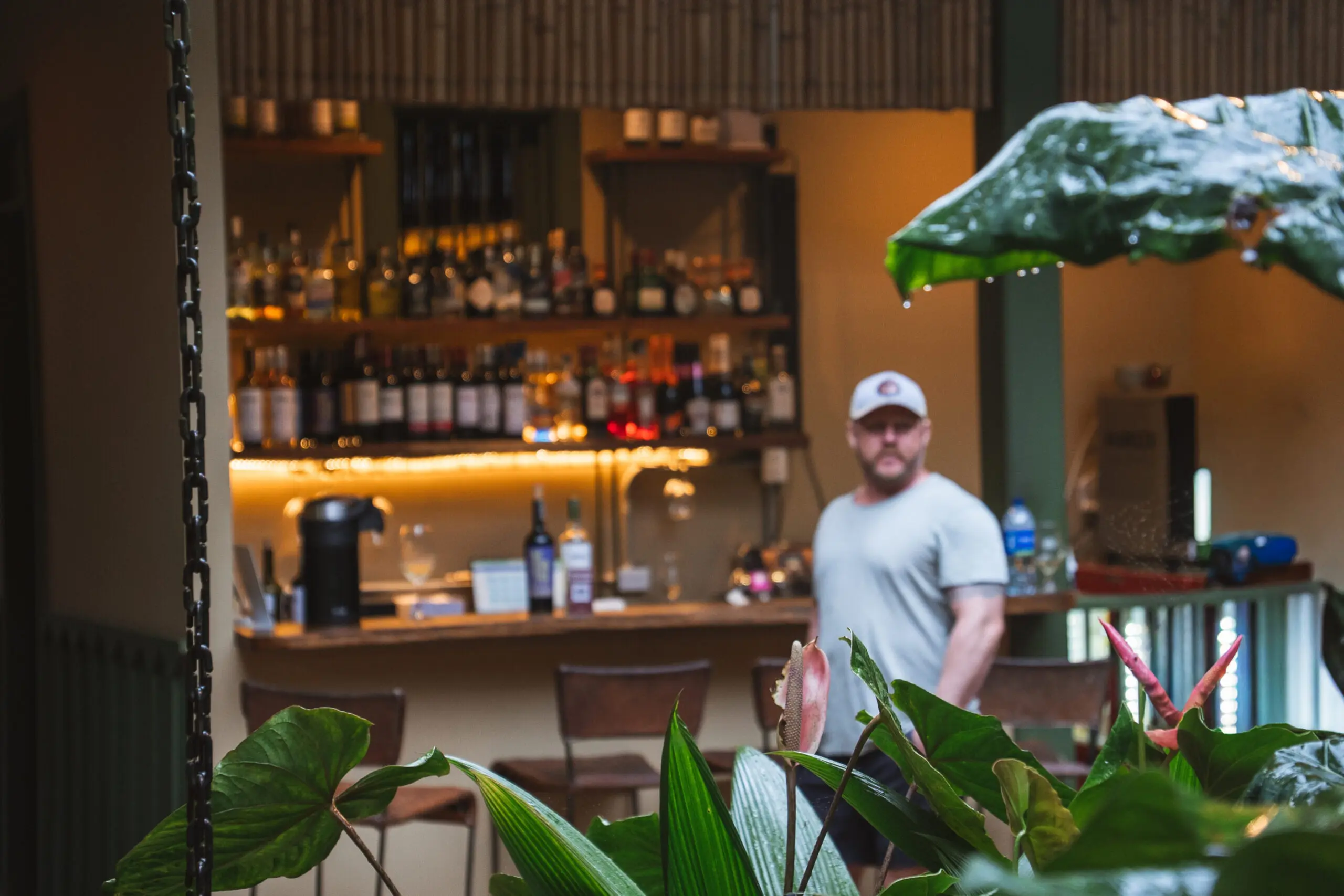 Bartender standing behind a cozy bar with plants in the foreground.