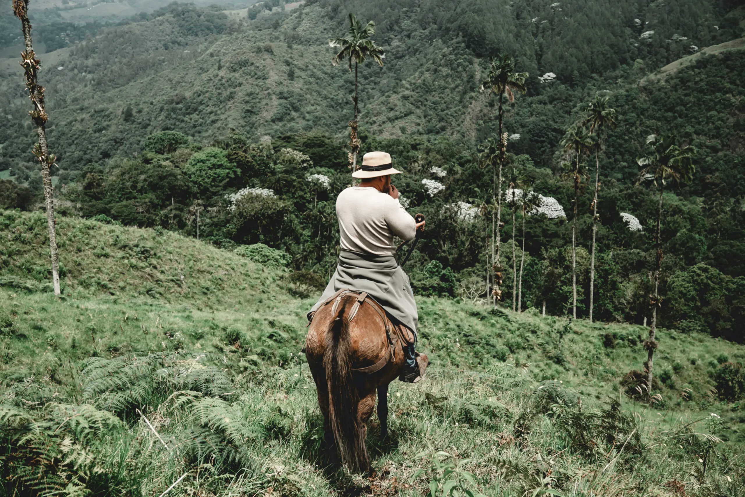 A man riding a horse through a lush green forested area.