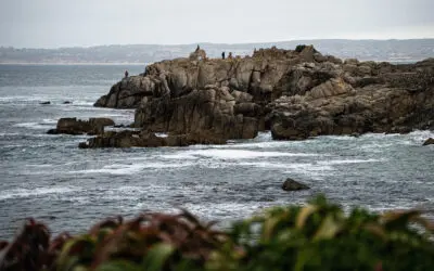 Pacific Grove: the doorway to Big Sur