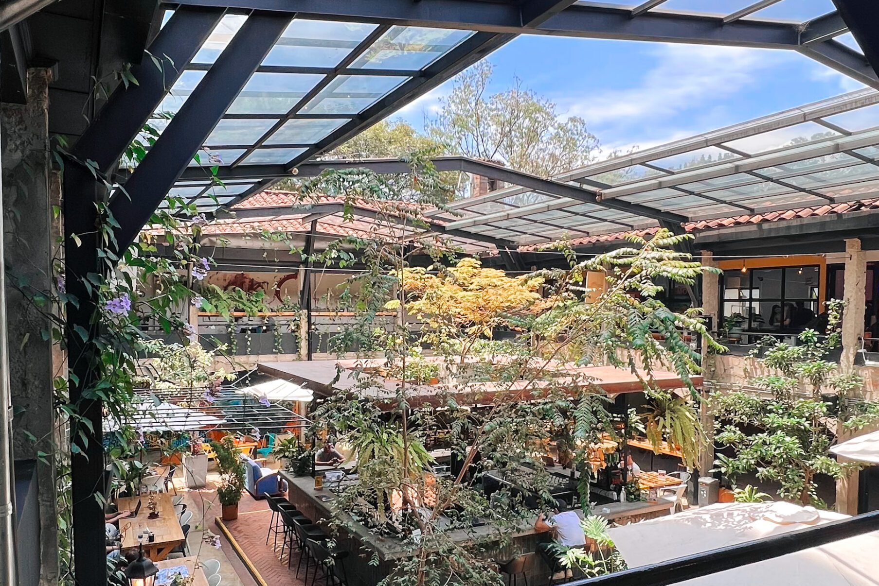 Looking down through a window at a garden bar