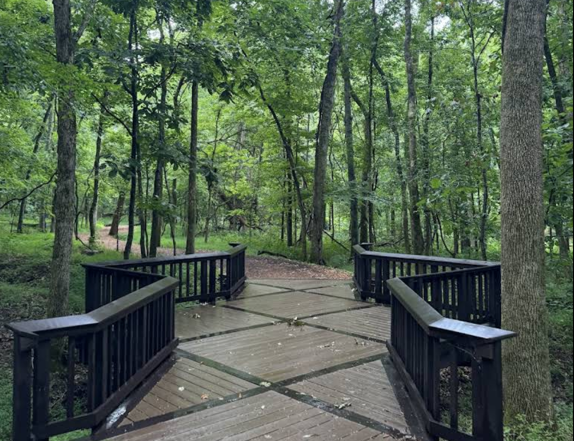 woman with a bob haircut holding a camera up to her face with a light in the background