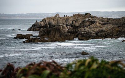 Pacific Grove: the doorway to Big Sur
